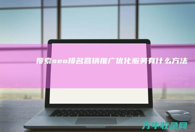 搜索seo排名营销推广优化服务有什么方法 (搜索 seo)